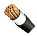 Кабель ВВГнг(А)-LS 1х150 МК 1кВ Б (м) Агрокабель 9846 Кабель ВВГнг(А)-LS 1х150 МК 1кВ Б (м) Агрокабель 9846